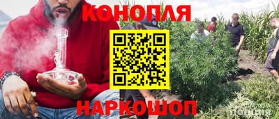 прущие крисы Будённовск