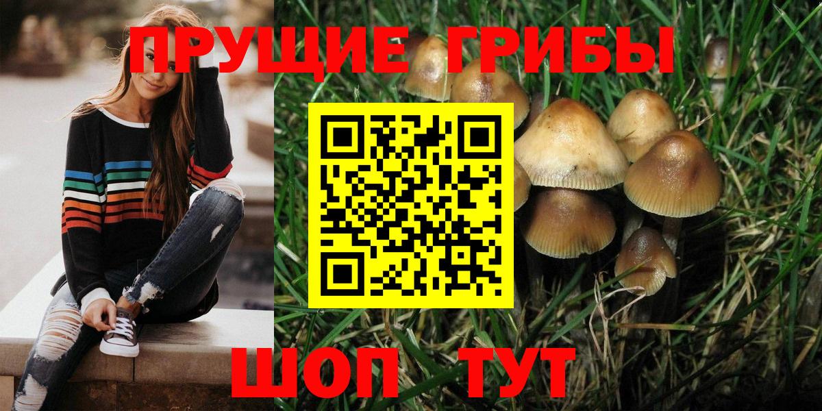 цена   Галлюциногенные грибы ЛСД  Вход с VPN  Псилоцибиновые грибы Psilocybe  Новоуральск 